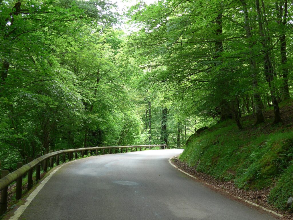 Carretera del puerto de Palombera